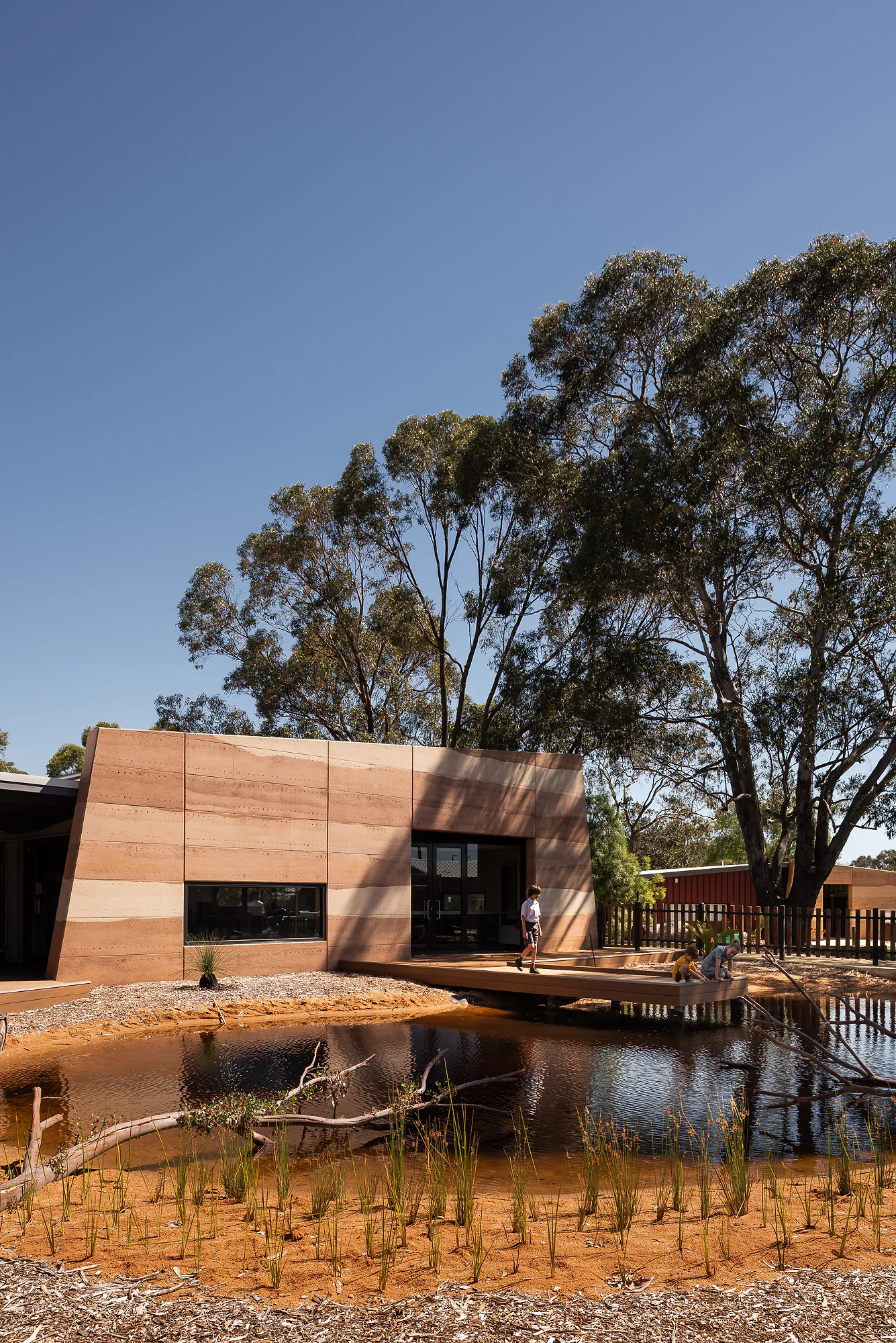 Cockburn Wetlands Precinct - education centre above the constructed wetland with timber viewing platform and eucalyptus canopy