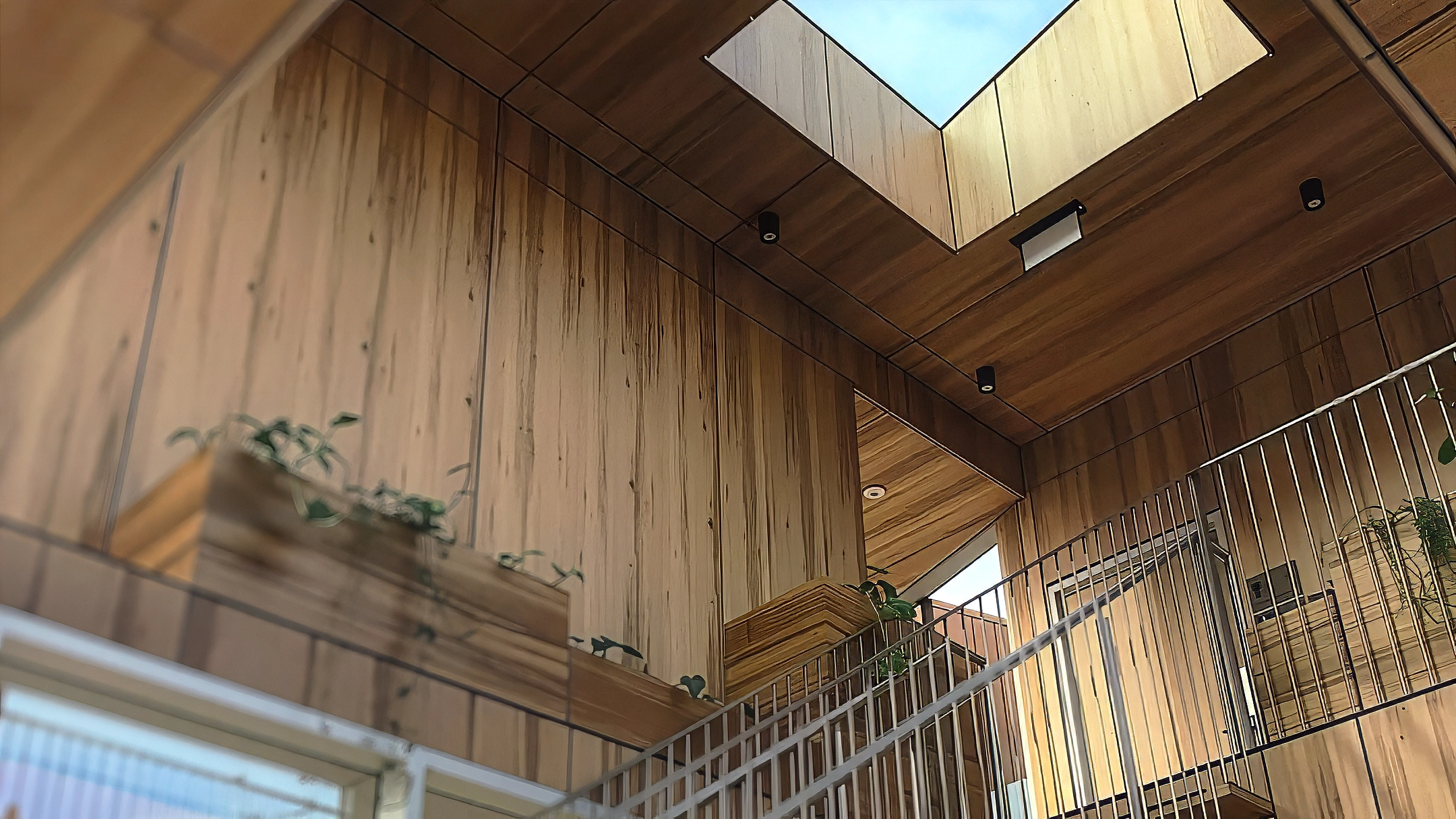 Mt Atkinson Vision Centre